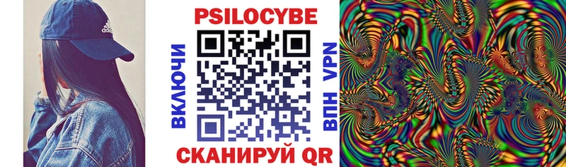 дарк нет наркотические препараты Кондрово Псилоцибиновые грибы GOLDEN TEACHER где найти