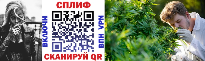 Канабис Amnesia  как найти закладки  Кондрово 